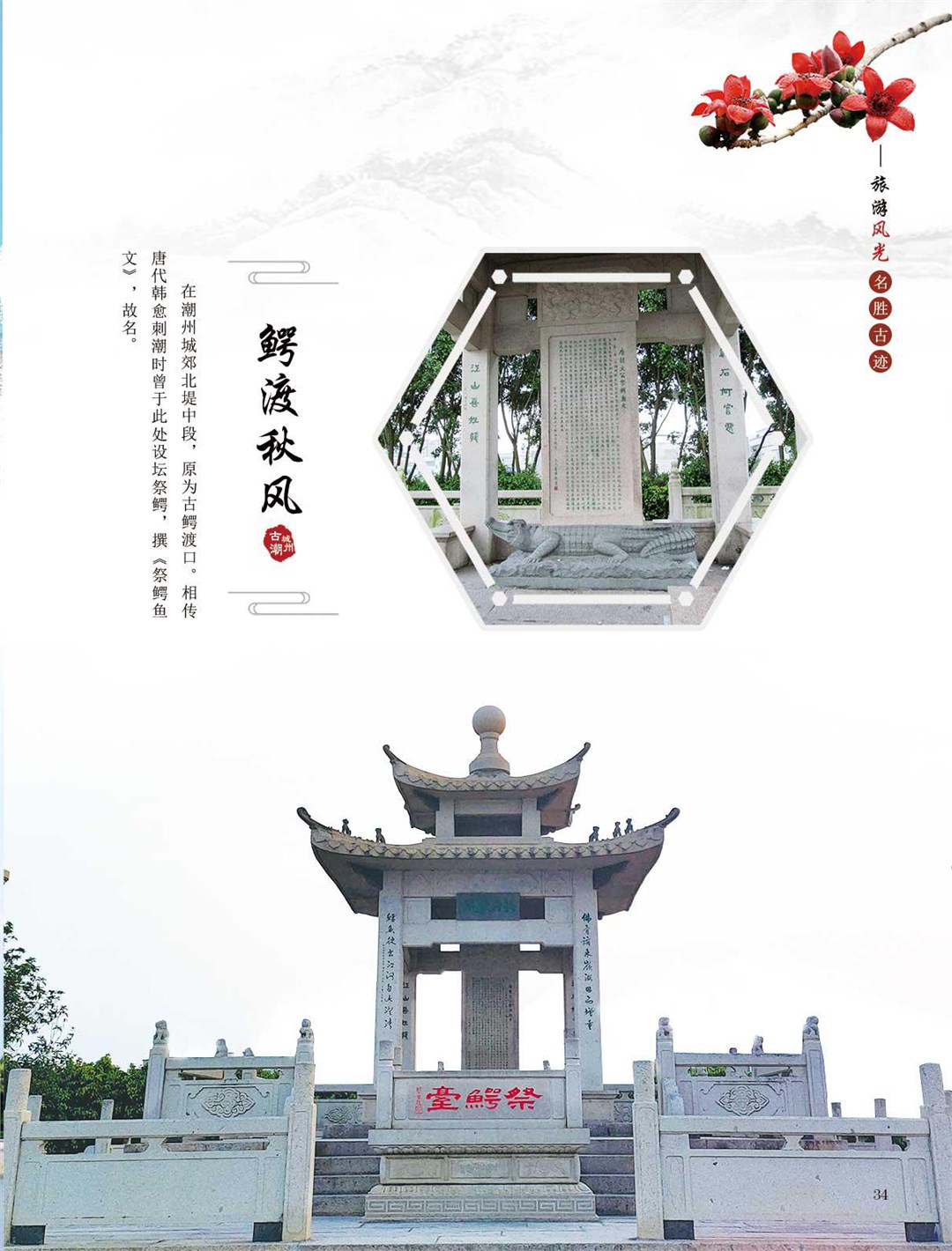鳄渡秋风.png
