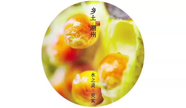水之灵·芡实