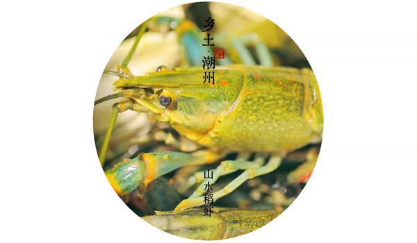 山水稻虾