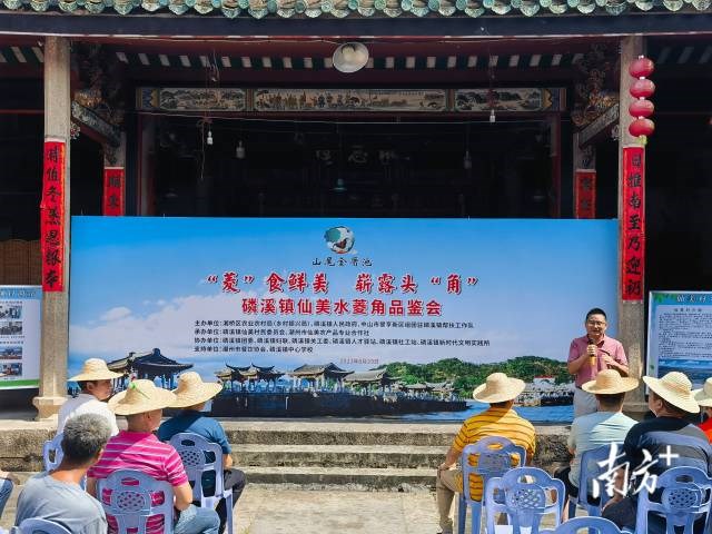 湘桥磷溪举行“菱”食品鉴会,20种美食限时品尝