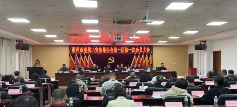 潮州三宝凉果协会成立,助力潮州传统特色食品发展