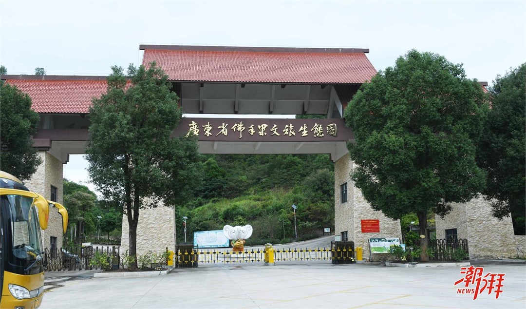 f2603fef-c33d-4dbe-b9b8-9c33938e5874_l.jpg f2603fef-c33d-4dbe-b9b8-9c33938e5874_l.jpg