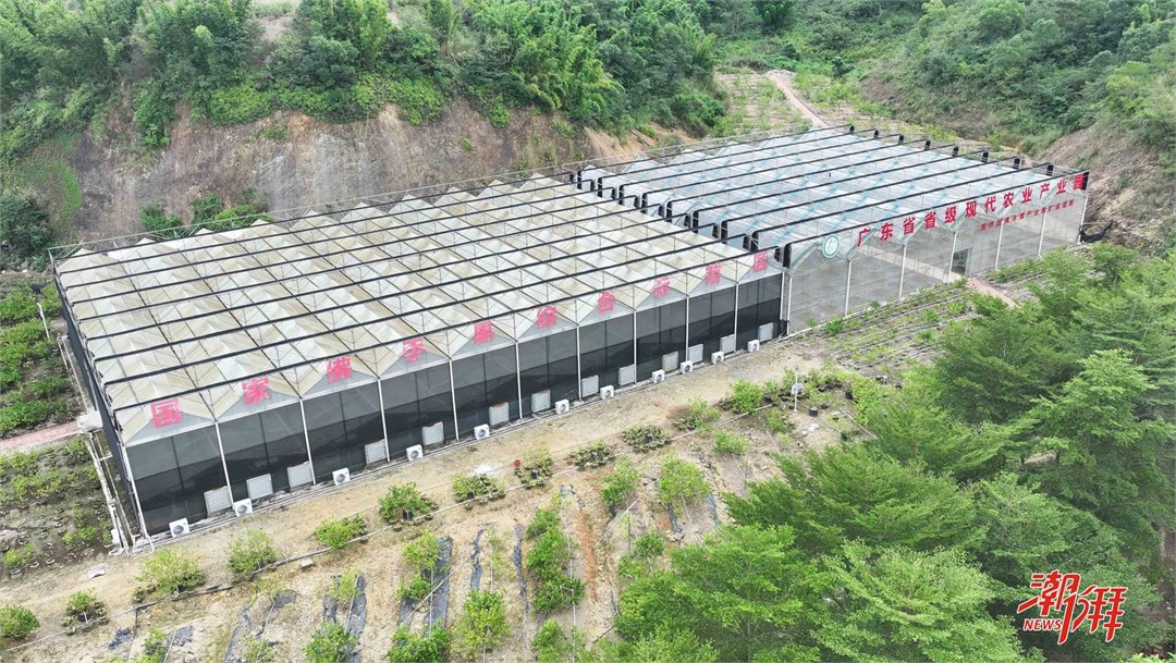 3c1e42e5-65b1-41c5-98ec-7b523721149d_l.jpg 3c1e42e5-65b1-41c5-98ec-7b523721149d_l.jpg