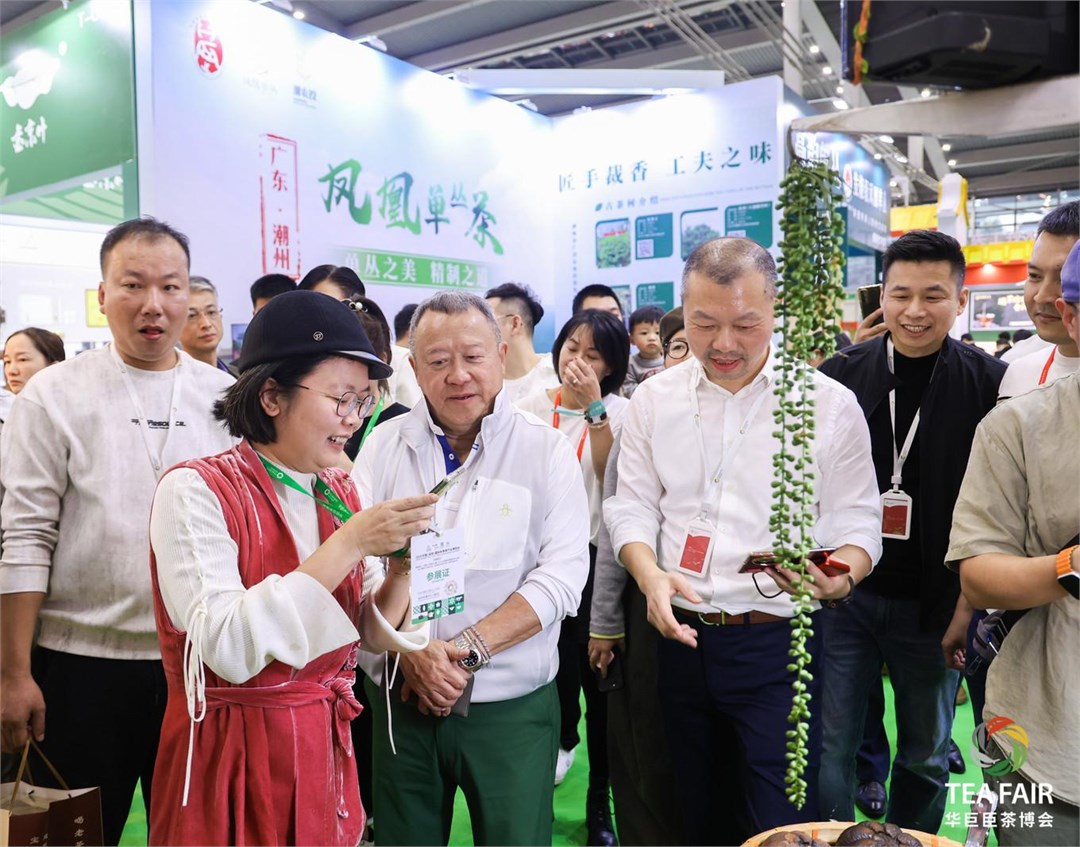 “又香又甘！”曾志伟点赞潮州凤凰单丛茶