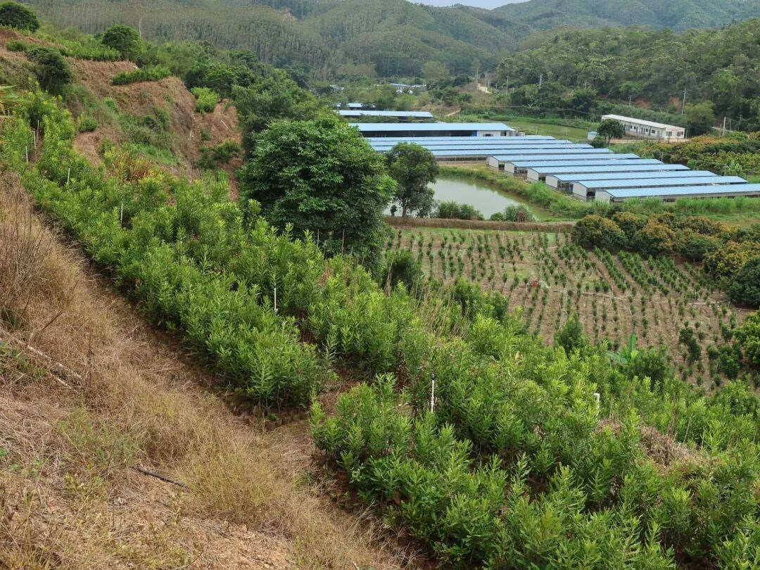 640 (2).jpg 640 (2).jpg