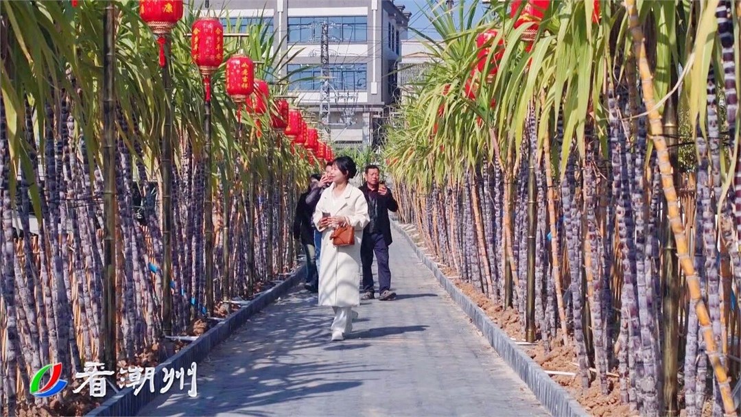 打造“穿蔗巷”特色景观 溪口民俗四季可赏