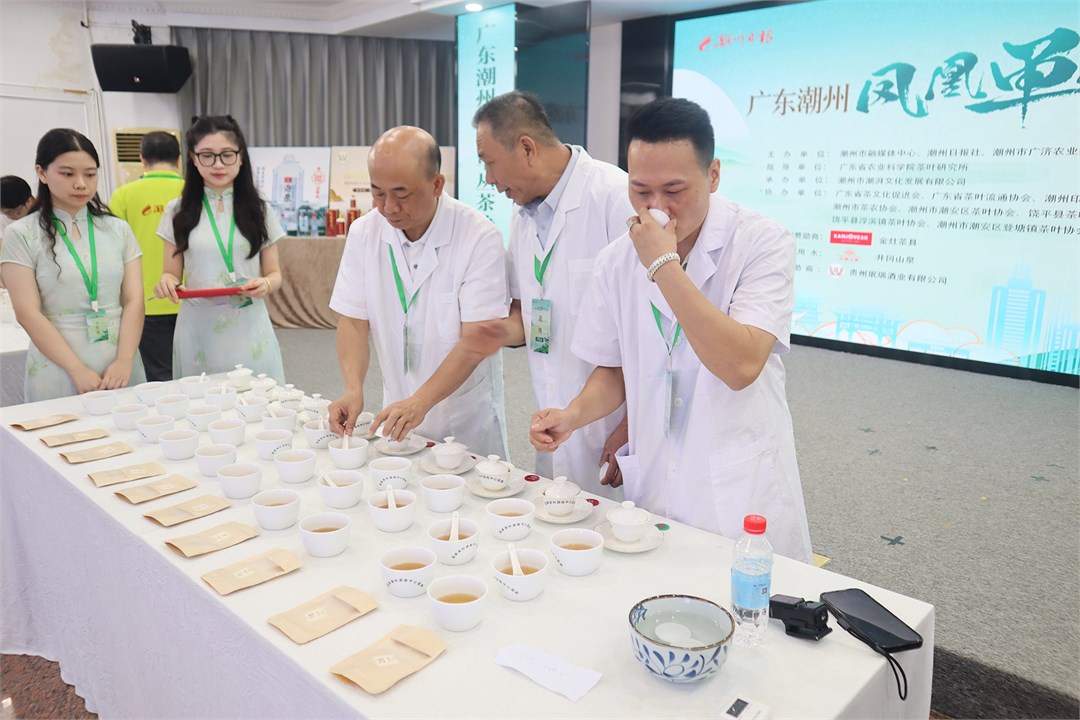 第八届广东潮州凤凰单丛茶争霸赛“茶王”诞生
