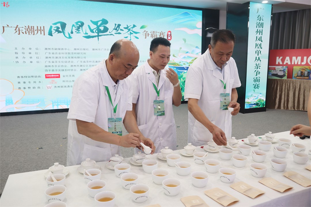 佳茗同台竞技 茶王花落谁家!第八届潮州凤凰单丛茶争霸赛开赛