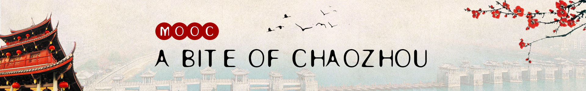 mooc-a bite of chaozhou